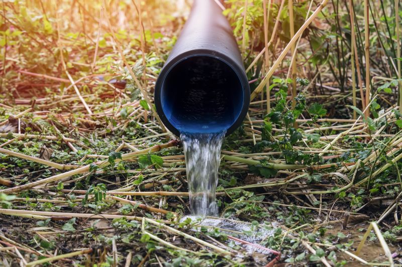 Eco-Friendly Options